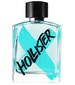 perfume Hollister Wave X For Man
