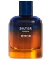 parfém Silver Winter Zara Man