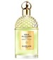 parfém Aqua Allegoria Forte Nerolia Vetiver