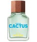 parfém United Dreams Green Cactus For Him