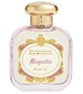 parfém Magnolia (2023)