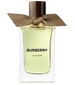 parfém Oud Storm