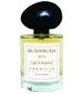 parfém Cigar & Bergamot