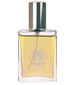 parfém Fragrance No 16 Perfect Storm