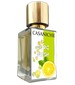 parfém Citric Fresh