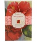 parfém Red Hibiscus