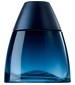 parfém Blue Rush Intense