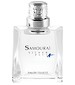 perfume Silver Plus