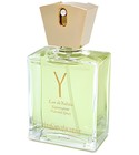 Y Yves Saint Laurent