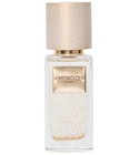 Amplifico Memoize London