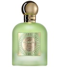 Pear Potion PARIS CORNER