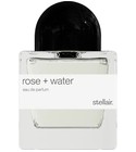 Rose + Water Stellair Perfumes