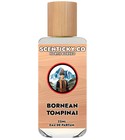Bornean Tompinai SCENTICKY.CO