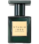 Studio 1886 Gentleman Avon