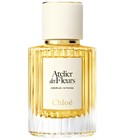 Cedrus Intense Chloé