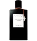 parfém Moonlight Cherry