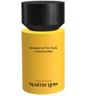 Summer in New York Martin Lion