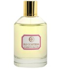 parfém Sorbetto Bloom