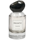 parfém Oriental Mist