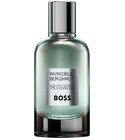 parfém The Collection Invincible Bergamot