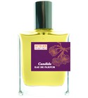 parfém Candide