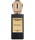 RESILIENT Carlo Dali