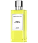 Ginger Cologne Angel Schlesser