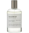 parfém Stallion 53