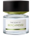 parfém Bergamood