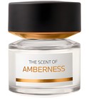 parfém Amberness