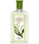 Ландыш (Muguet) Новая Заря (The New Dawn)