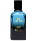 parfém Cytrus Breeze