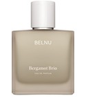 parfém Bergamot Brio
