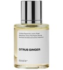 parfém Citrus Ginger