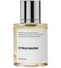 Citrus Marine Dossier