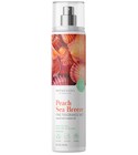 Peach Sea Breeze ScentWorx by Slatkin + Co.