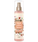 Hibiscus Water & Jasmine Love Beauty and Planet