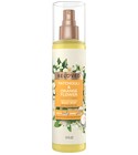 parfém Patchouli & Orange Flower