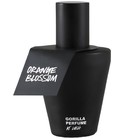 Orange Blossom Lush