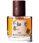 Bu Zhi Chun 不知春 Black Paw