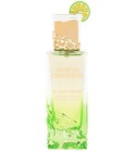 Mojito Obsession Gulf Orchid