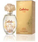 Cabotine Gold Grès