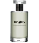 Tropical Forest Béatus Paris