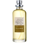 parfém Ylang