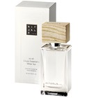 parfém No. 01 Ginger Essence & White Tea