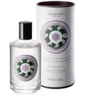 Jacarandá Benamôr