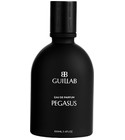 PEGASUS Guillab