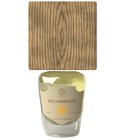 SolarBreeze Noctifera