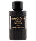 Capsule 1968 ArteOlfatto