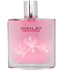 Hinlay Orchide Lorelyane